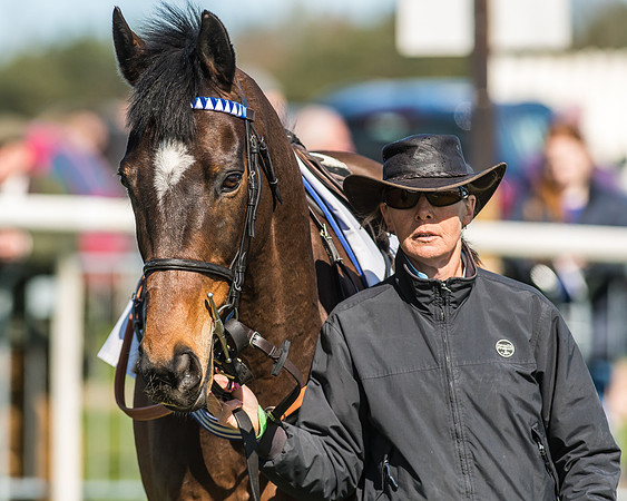 Race 1 - Puckeridge Hunt Members-7