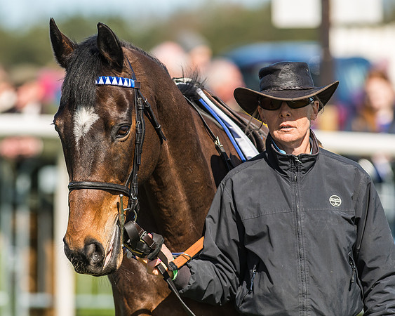 Race 1 - Puckeridge Hunt Members-8