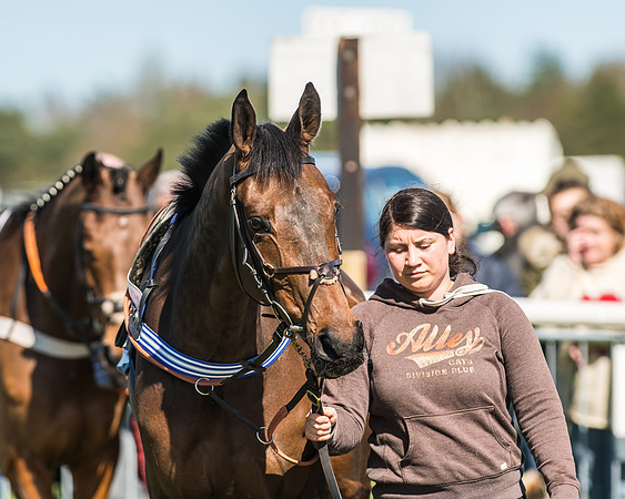 Race 1 - Puckeridge Hunt Members-9