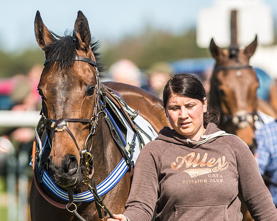 Race 1 - Puckeridge Hunt Members-10