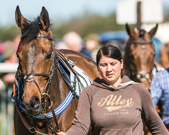 Race 1 - Puckeridge Hunt Members-11