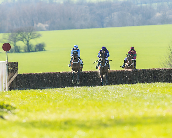 Race 1 - Puckeridge Hunt Members-33