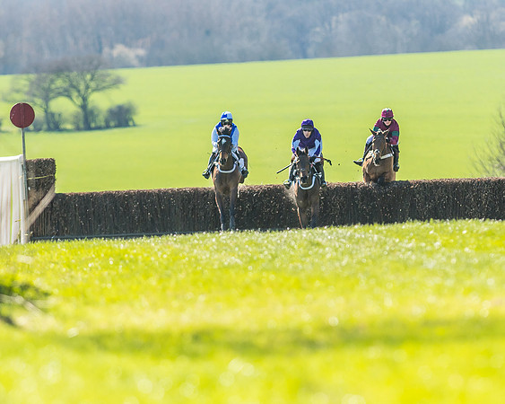 Race 1 - Puckeridge Hunt Members-34