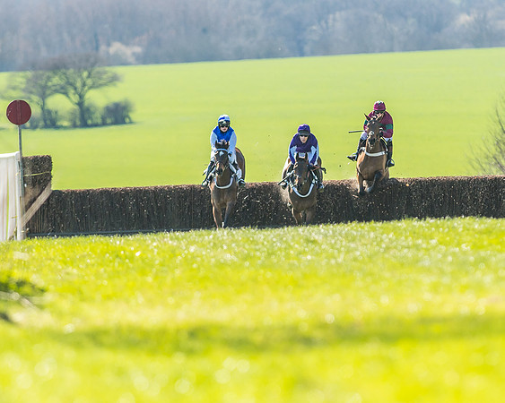 Race 1 - Puckeridge Hunt Members-35