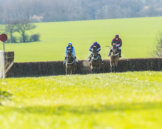 Race 1 - Puckeridge Hunt Members-37