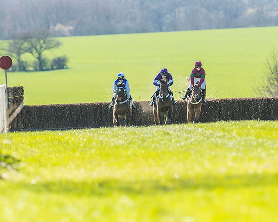 Race 1 - Puckeridge Hunt Members-38