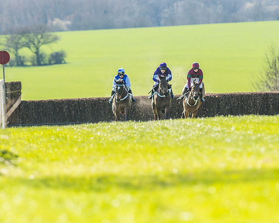 Race 1 - Puckeridge Hunt Members-39