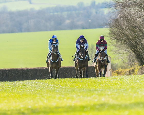 Race 1 - Puckeridge Hunt Members-41