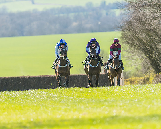Race 1 - Puckeridge Hunt Members-42