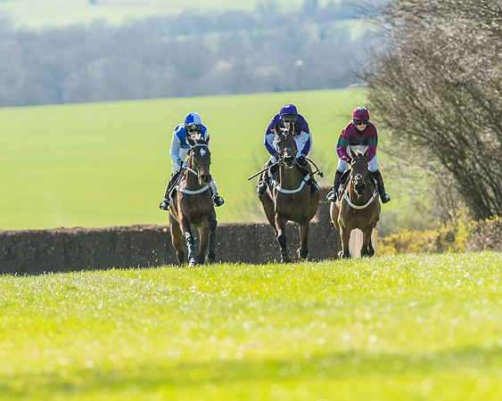 Race 1 - Puckeridge Hunt Members-43