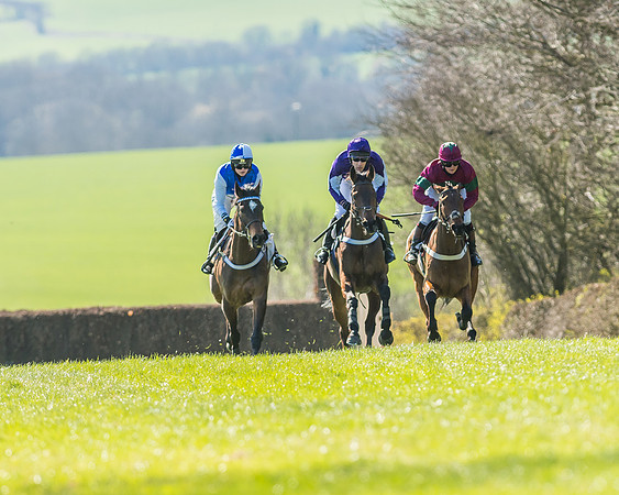 Race 1 - Puckeridge Hunt Members-44