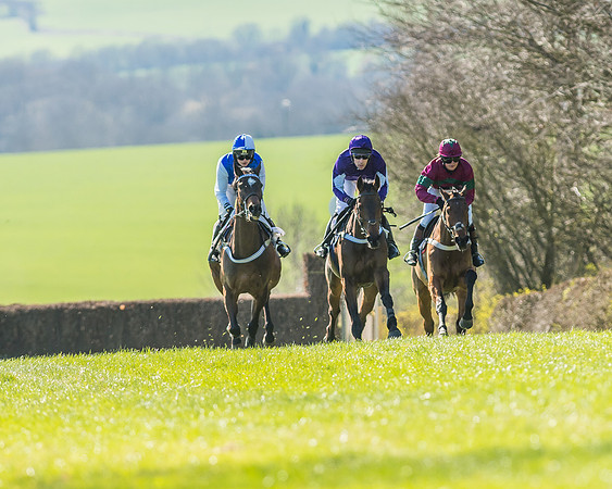 Race 1 - Puckeridge Hunt Members-45