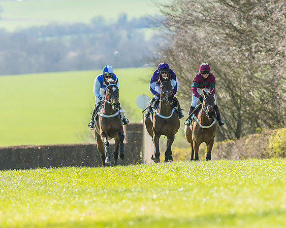 Race 1 - Puckeridge Hunt Members-47