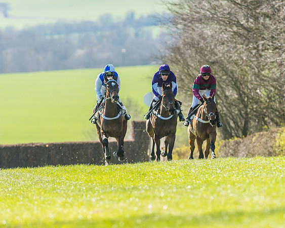 Race 1 - Puckeridge Hunt Members-46