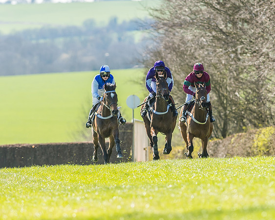 Race 1 - Puckeridge Hunt Members-48