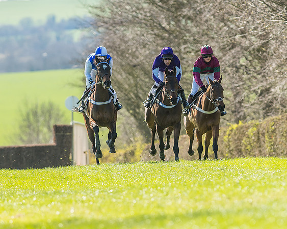 Race 1 - Puckeridge Hunt Members-50