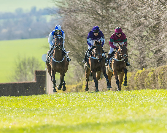 Race 1 - Puckeridge Hunt Members-49
