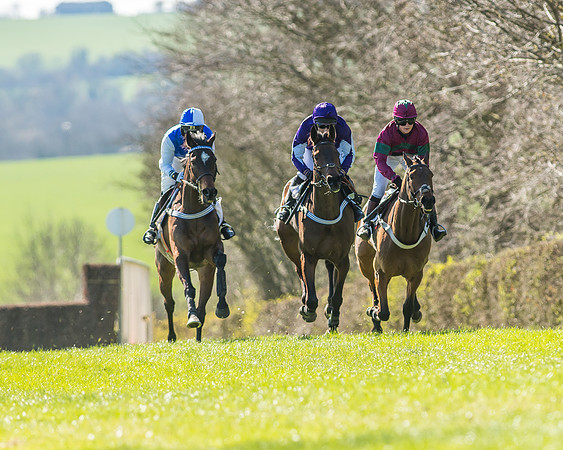 Race 1 - Puckeridge Hunt Members-51