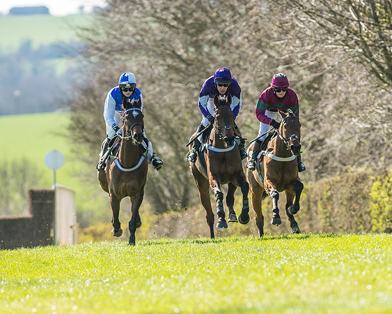 Race 1 - Puckeridge Hunt Members-53