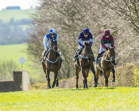 Race 1 - Puckeridge Hunt Members-54