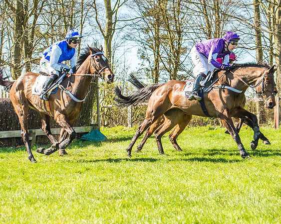 Race 1 - Puckeridge Hunt Members-63