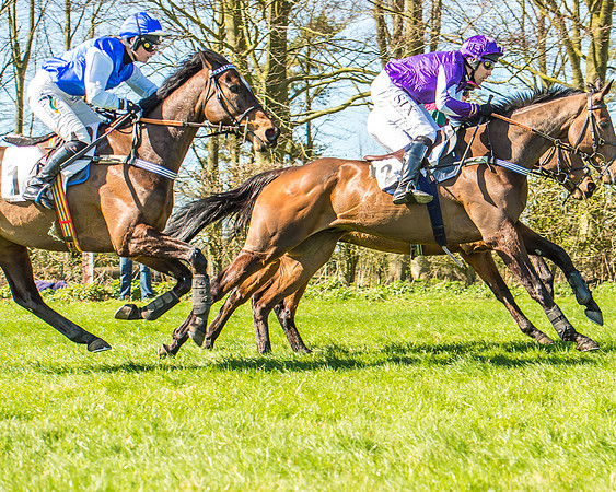 Race 1 - Puckeridge Hunt Members-68