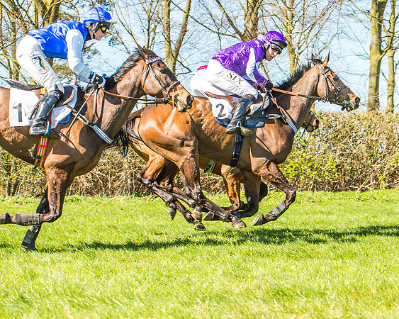 Race 1 - Puckeridge Hunt Members-71