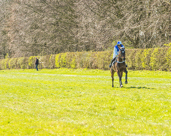 Race 1 - Puckeridge Hunt Members-75