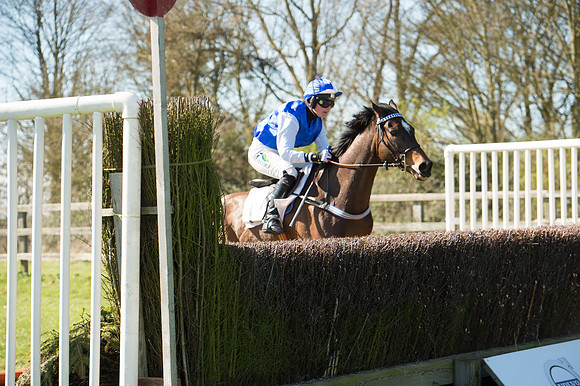 Race 1 - Puckeridge Hunt Members-77