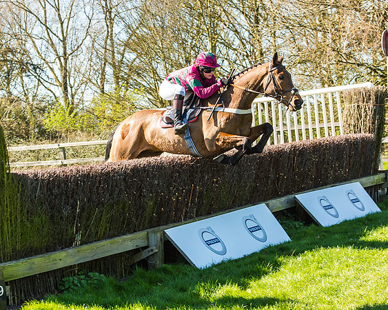 Race 1 - Puckeridge Hunt Members-86