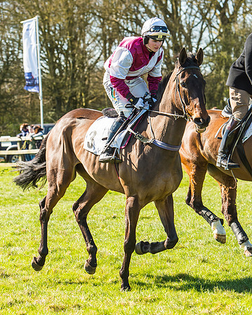 Race 2 - Open Maiden Race-4