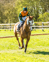 Race 2 - Open Maiden Race-7