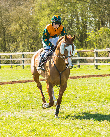 Race 2 - Open Maiden Race-7