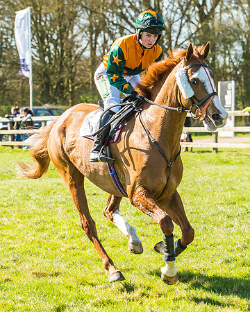 Race 2 - Open Maiden Race-9