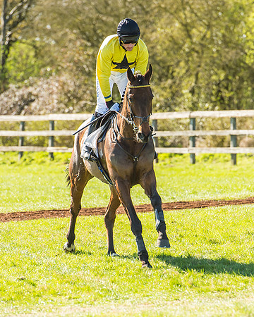 Race 2 - Open Maiden Race-10