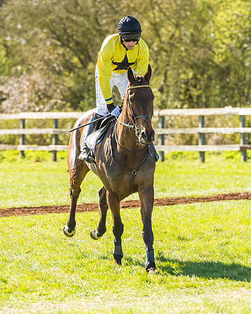 Race 2 - Open Maiden Race-11