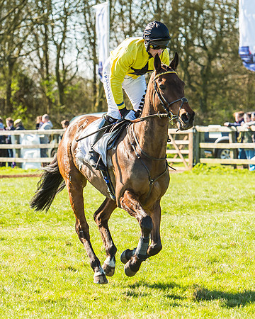 Race 2 - Open Maiden Race-12