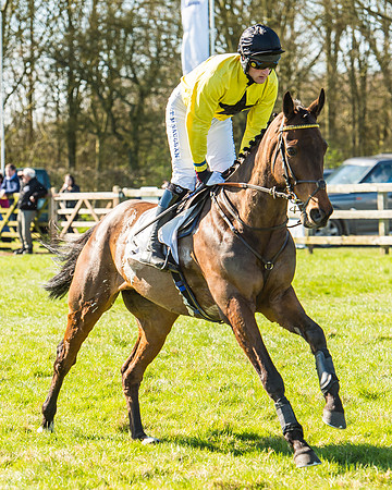 Race 2 - Open Maiden Race-14