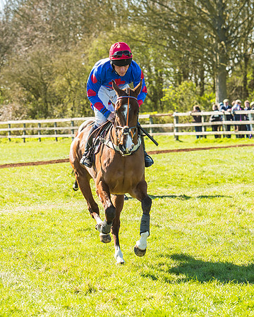 Race 2 - Open Maiden Race-15