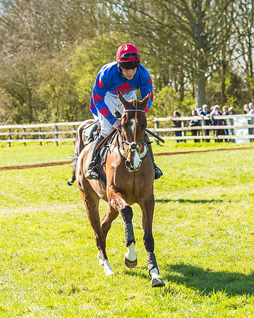 Race 2 - Open Maiden Race-16