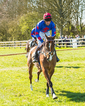 Race 2 - Open Maiden Race-17