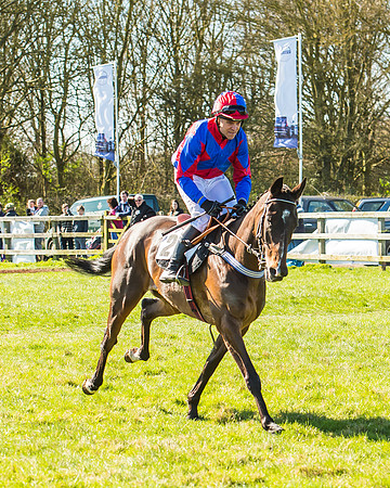 Race 2 - Open Maiden Race-18