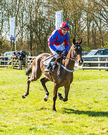 Race 2 - Open Maiden Race-19
