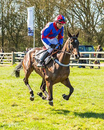 Race 2 - Open Maiden Race-20