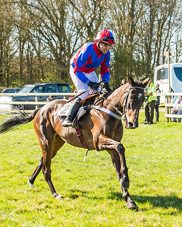 Race 2 - Open Maiden Race-22