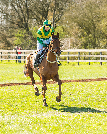 Race 2 - Open Maiden Race-24