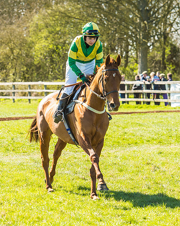 Race 2 - Open Maiden Race-25