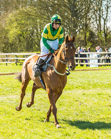 Race 2 - Open Maiden Race-26