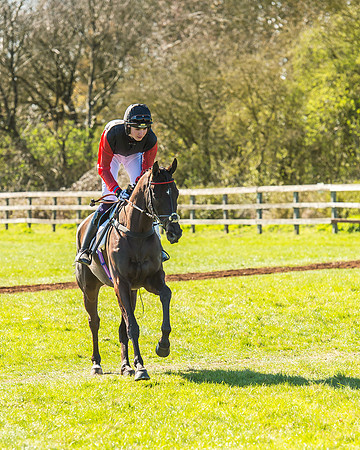 Race 2 - Open Maiden Race-28