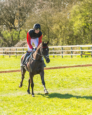 Race 2 - Open Maiden Race-29